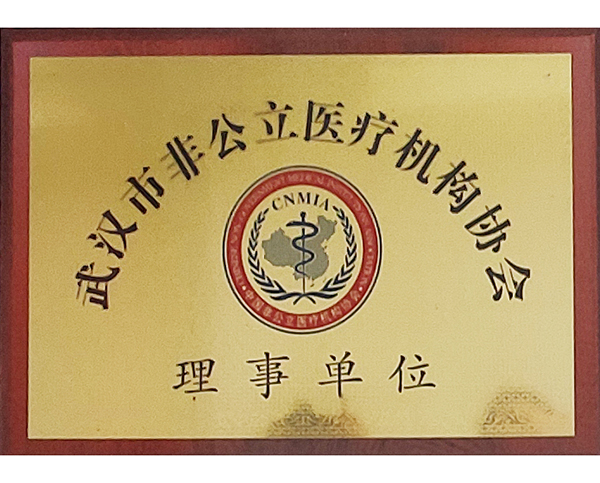 武汉市非公立医疗机构协会理事单位